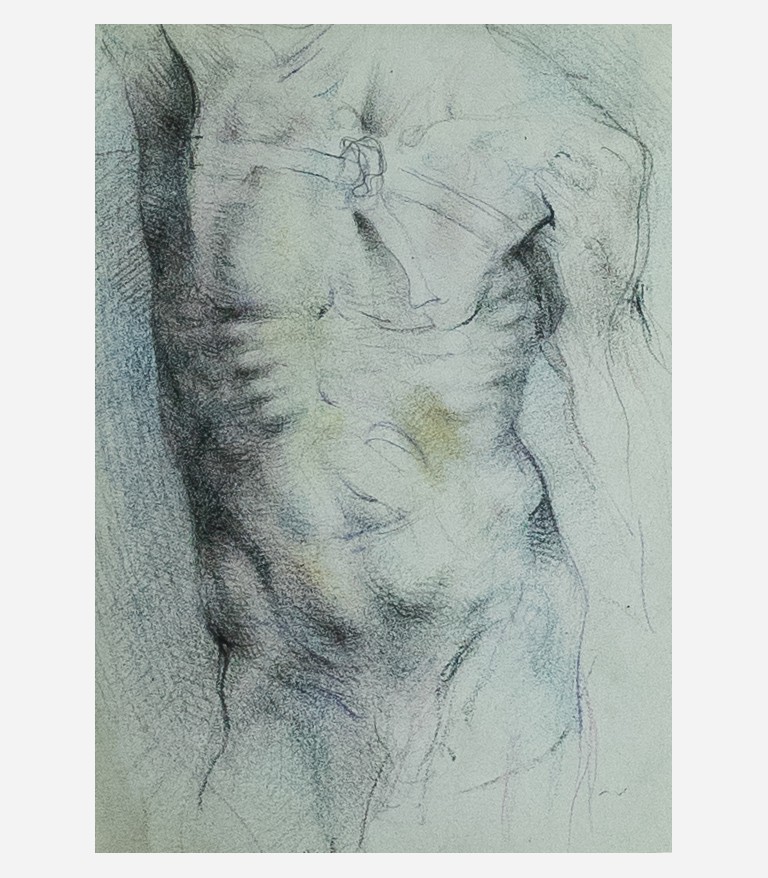 Torso